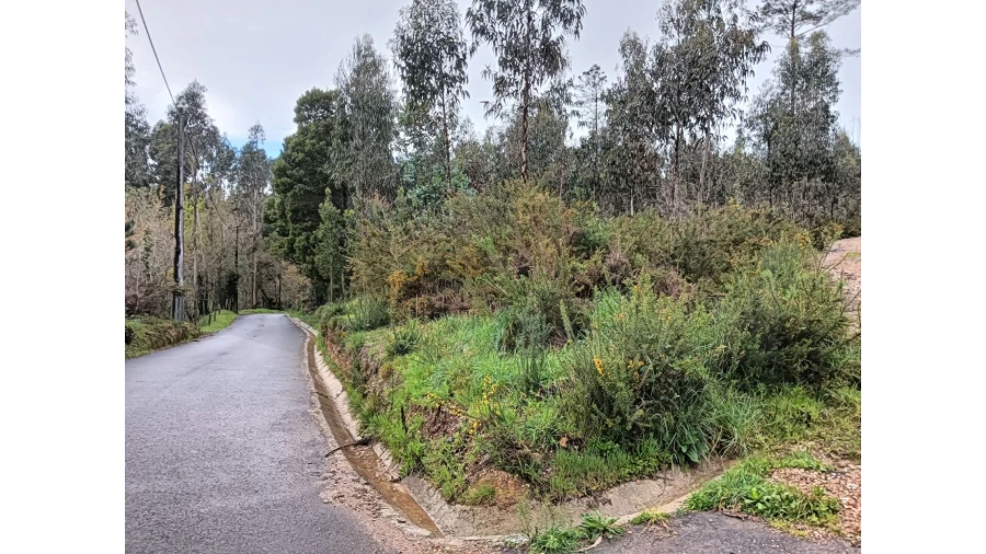 Terreno para Venda em Angeja Foto 12