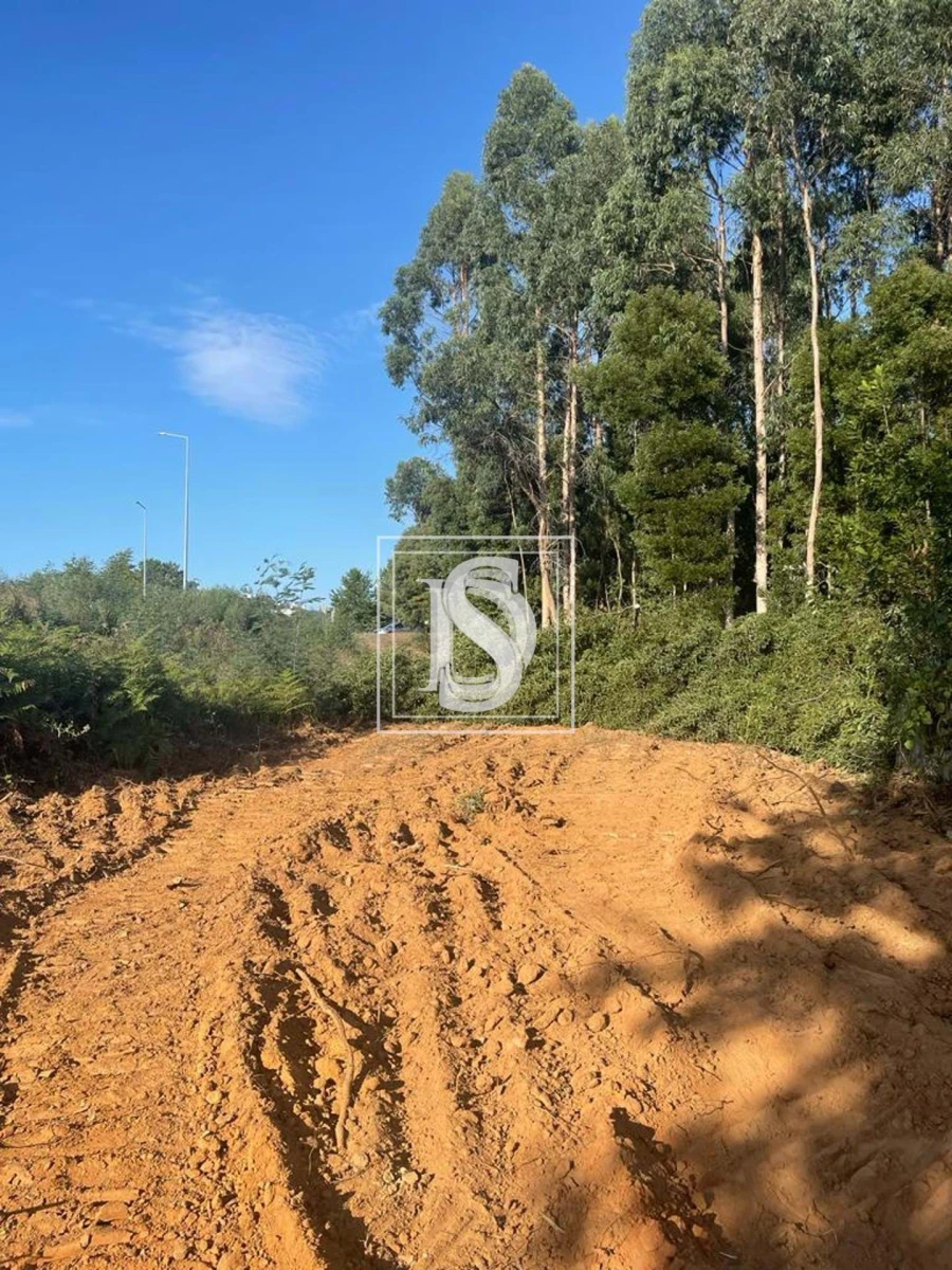 Terreno para Venda em Santa Maria da Feira, Travanca, Sanfins e Espargo Foto 8