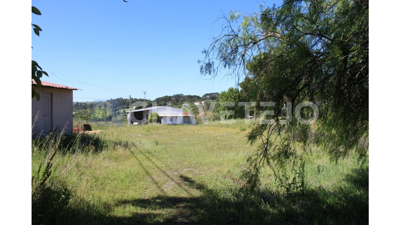 Negócio para Venda em Carregueiros Foto 36