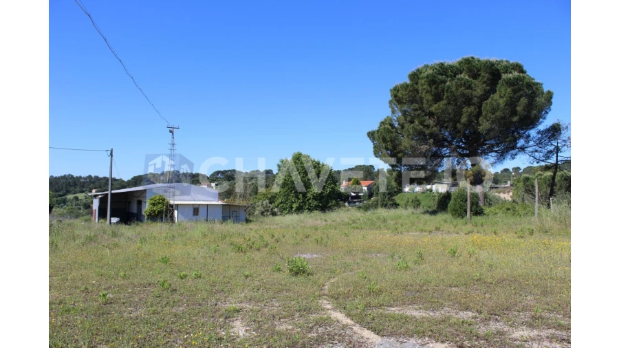Negócio para Venda em Carregueiros Foto 35