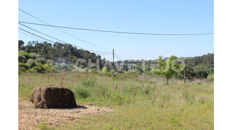 Negócio para Venda em Carregueiros Foto 37