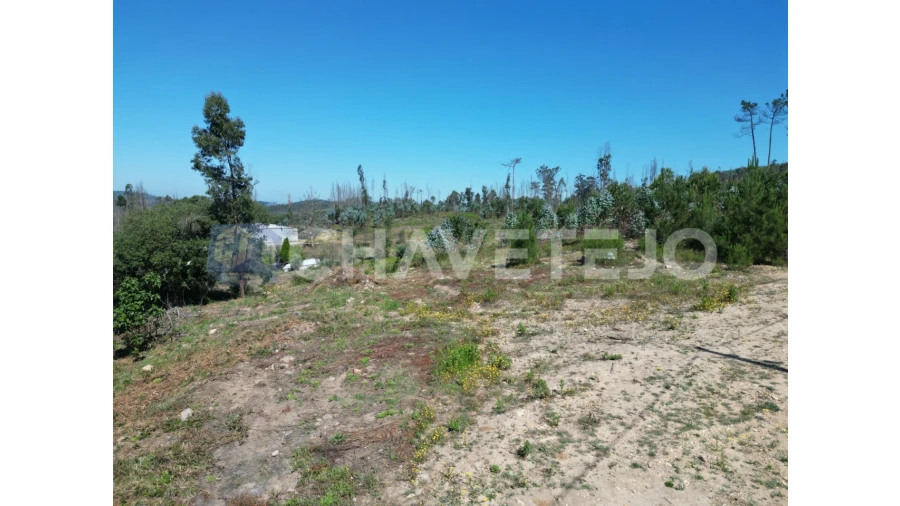 Terreno para Venda em Urqueira Foto 6