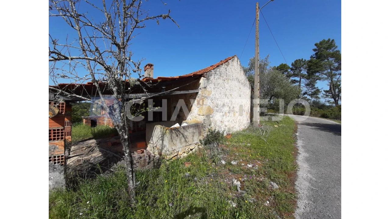 Moradia T3 para Venda em Freixianda, Ribeira do Fárrio e Formigais Foto 16