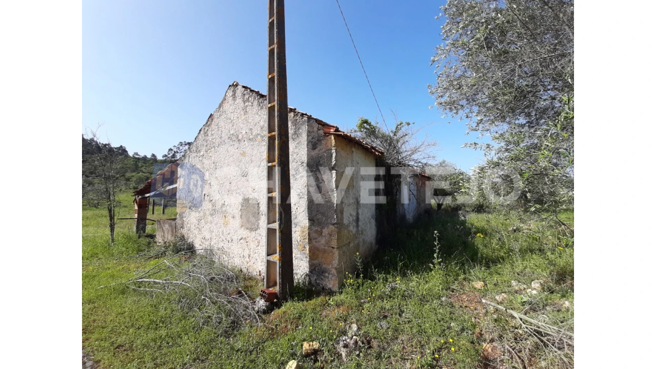 Moradia T3 para Venda em Freixianda, Ribeira do Fárrio e Formigais Foto 15