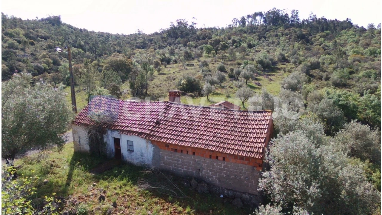 Moradia T3 para Venda em Freixianda, Ribeira do Fárrio e Formigais Foto 1