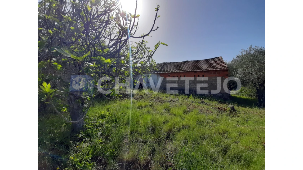 Moradia T3 para Venda em Freixianda, Ribeira do Fárrio e Formigais Foto 18