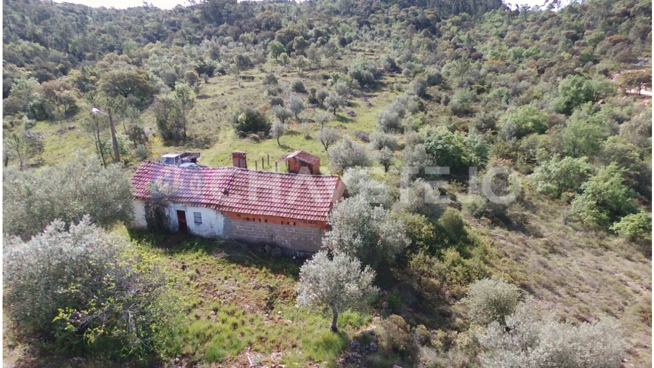 Moradia T3 para Venda em Freixianda, Ribeira do Fárrio e Formigais Foto 19