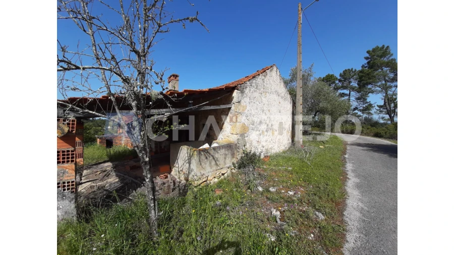 Moradia T3 para Venda em Freixianda, Ribeira do Fárrio e Formigais Foto 16