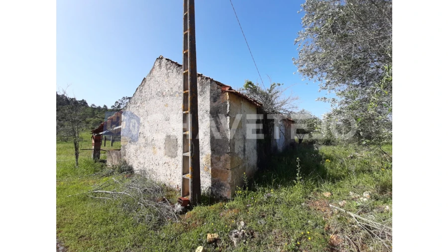 Moradia T3 para Venda em Freixianda, Ribeira do Fárrio e Formigais Foto 15