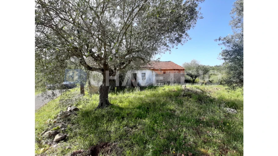 Moradia T3 para Venda em Freixianda, Ribeira do Fárrio e Formigais Foto 17