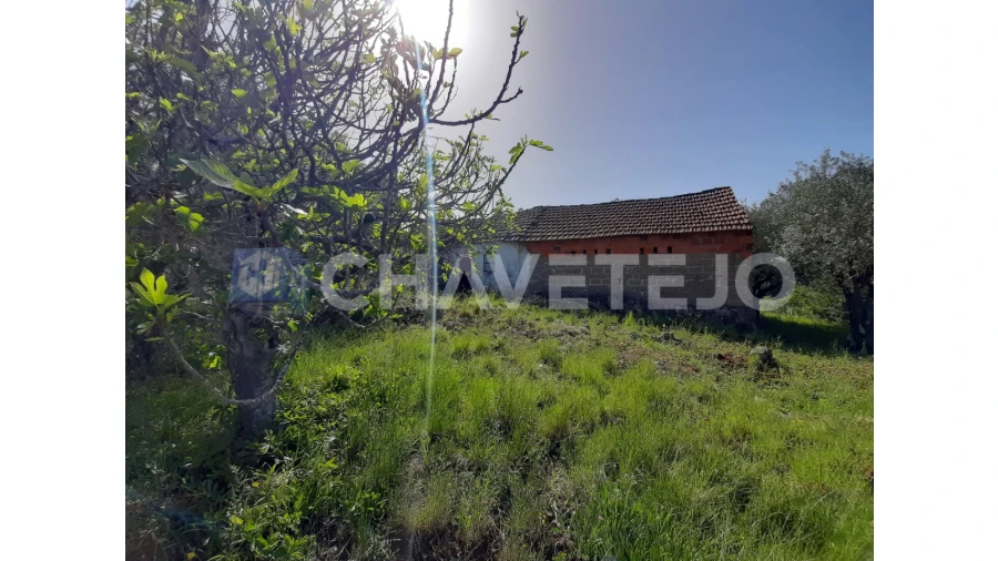 Moradia T3 para Venda em Freixianda, Ribeira do Fárrio e Formigais Foto 18