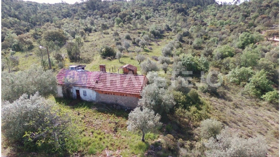 Moradia T3 para Venda em Freixianda, Ribeira do Fárrio e Formigais Foto 19