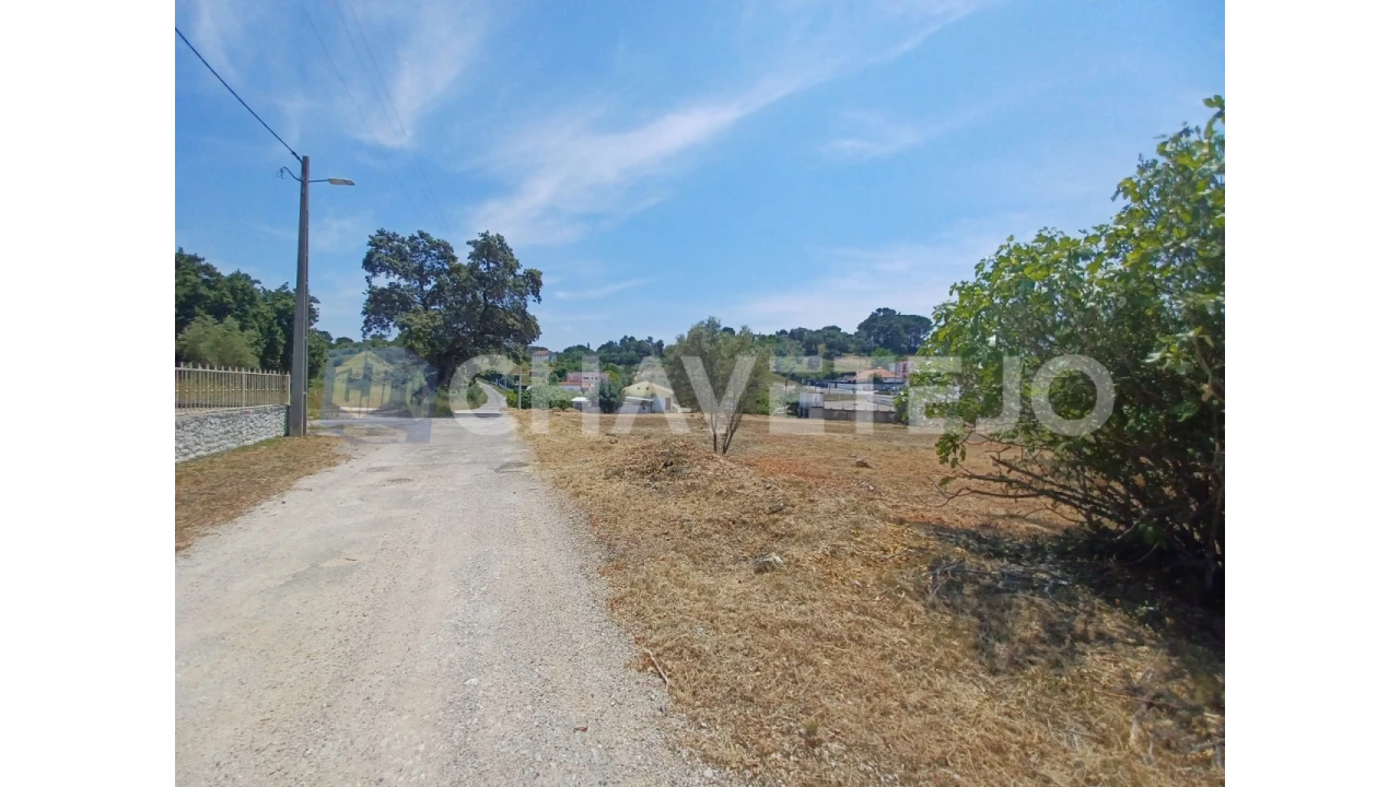 Terreno para Venda em Carregueiros Foto 5