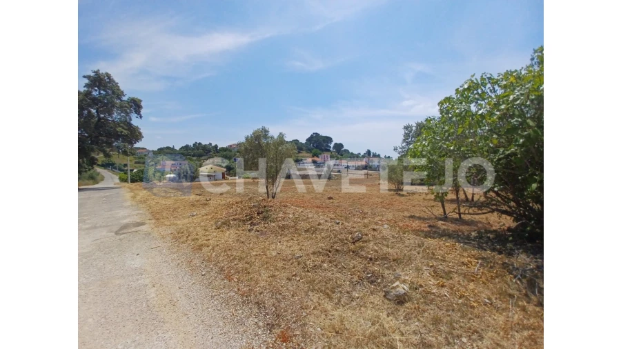 Terreno para Venda em Carregueiros Foto 6