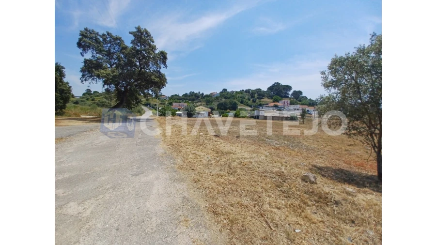 Terreno para Venda em Carregueiros Foto 7