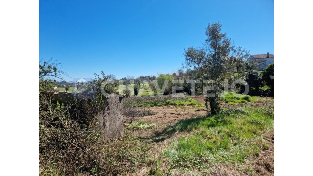 Moradia T2 para Venda em Beco Foto 22