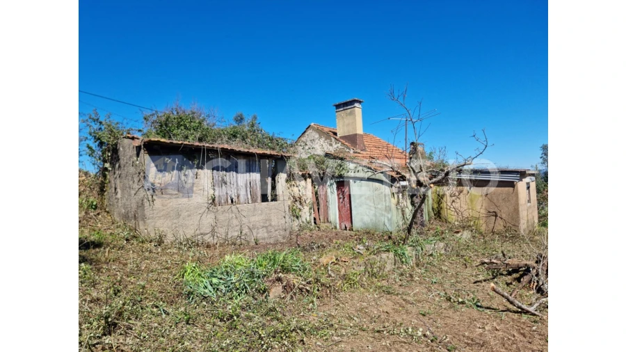 Moradia T2 para Venda em Beco Foto 19