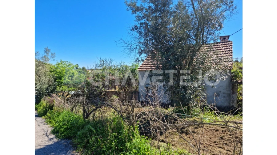 Moradia T2 para Venda em Beco Foto 21