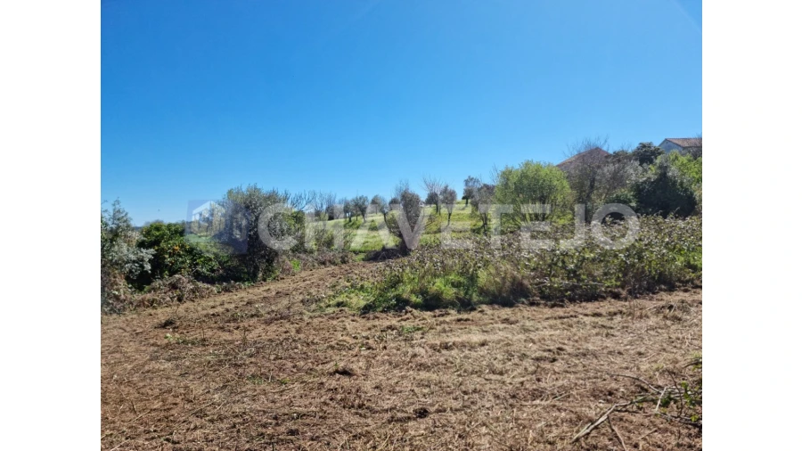 Moradia T2 para Venda em Beco Foto 23