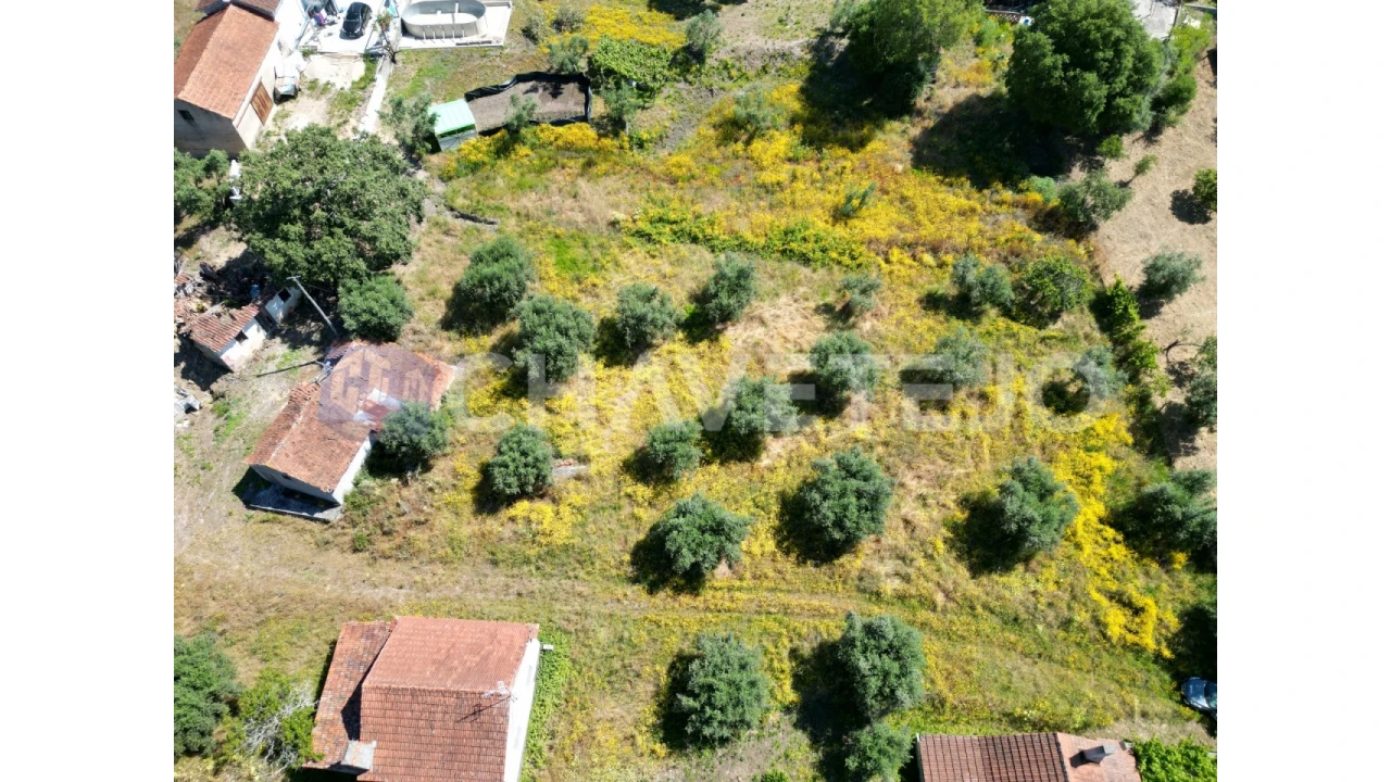 Terreno para Venda em Urqueira Foto 2