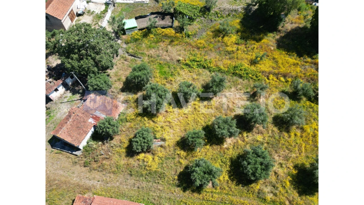 Terreno para Venda em Urqueira Foto 3