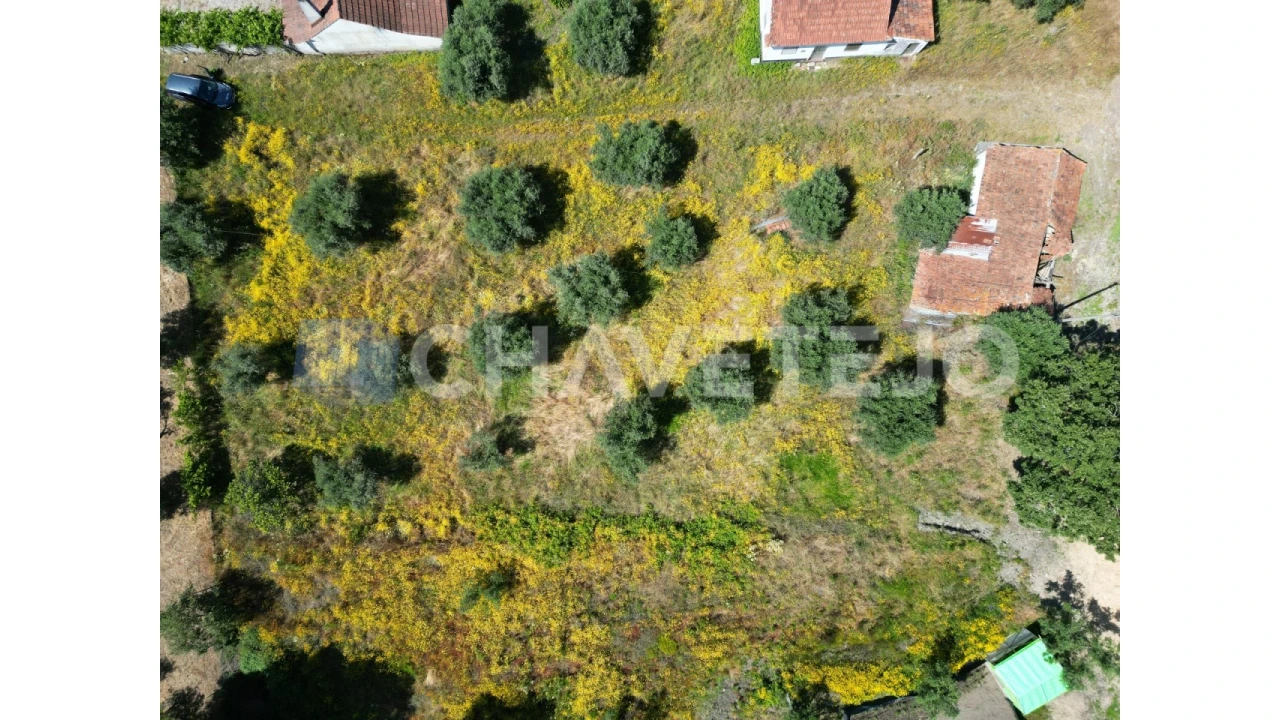 Terreno para Venda em Urqueira Foto 5