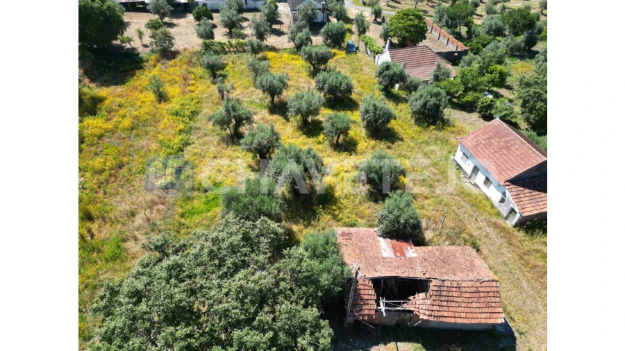 Terreno para Venda em Urqueira Foto 4