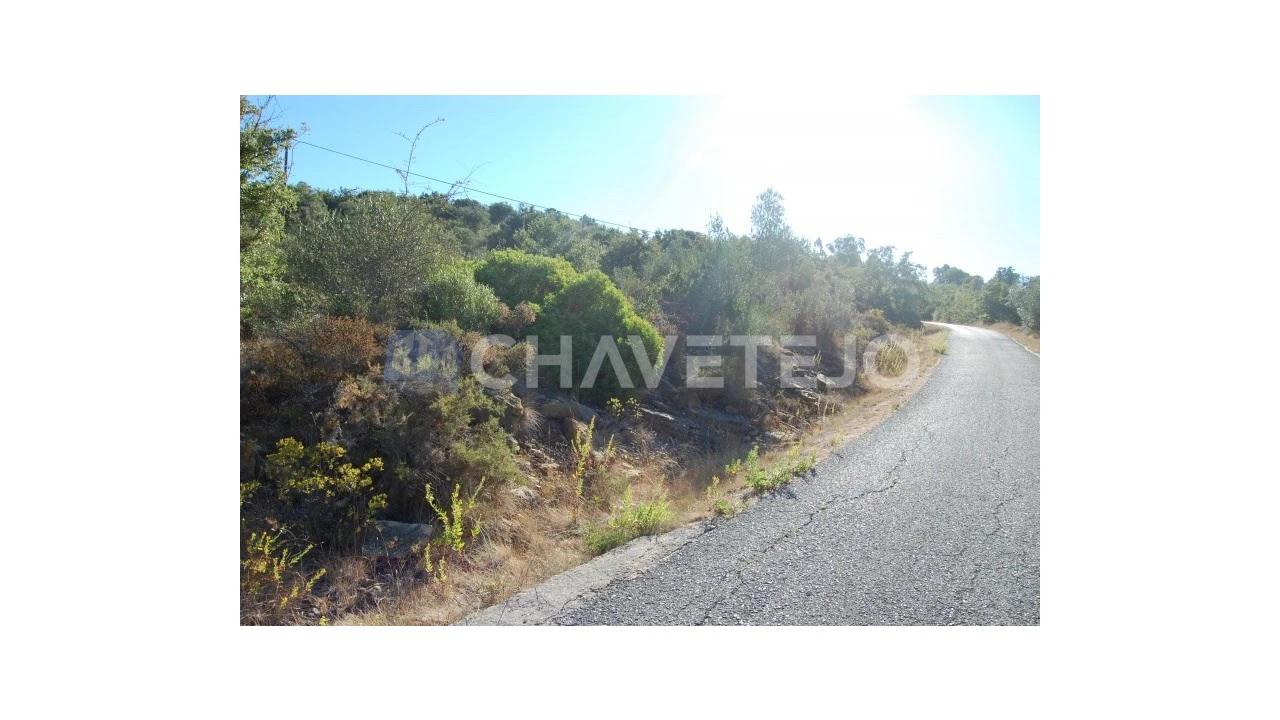 Terreno para Venda em Além da Ribeira e Pedreira Foto 3