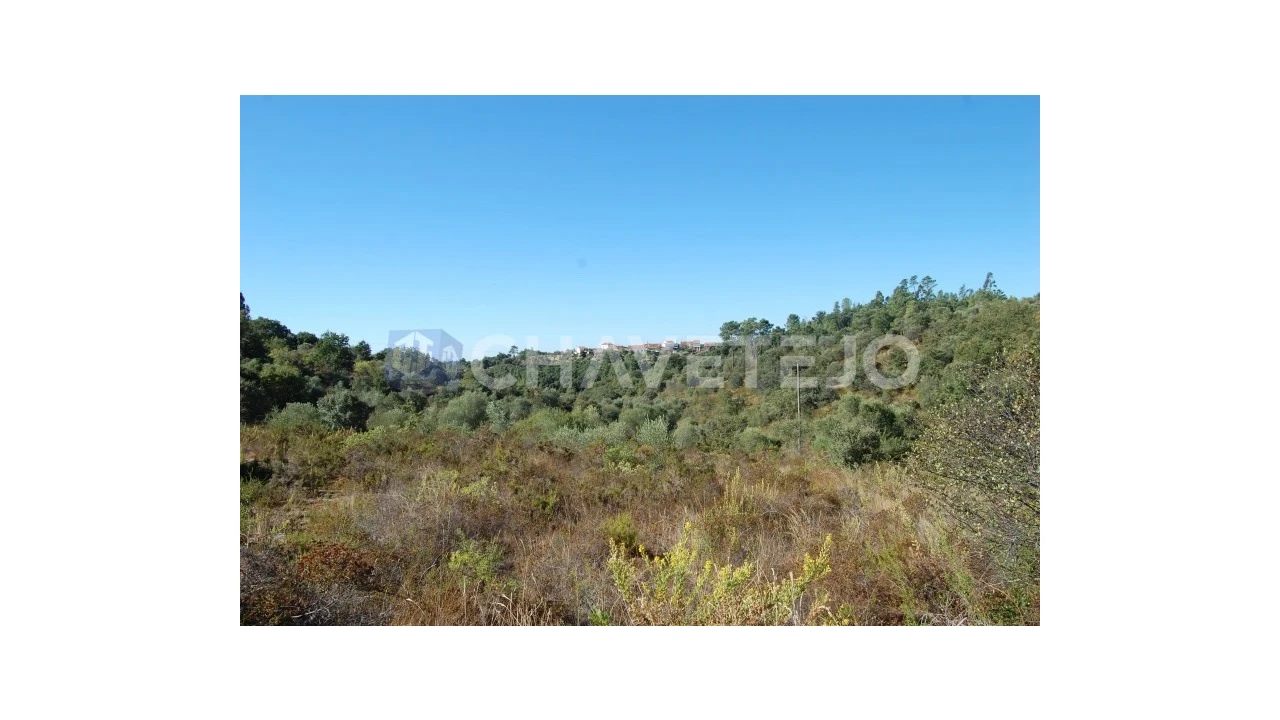 Terreno para Venda em Além da Ribeira e Pedreira Foto 4