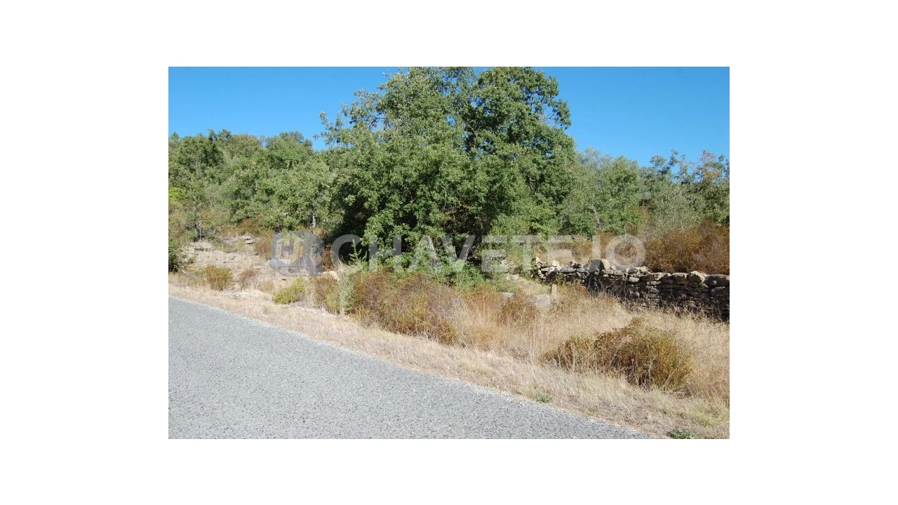 Terreno para Venda em Além da Ribeira e Pedreira Foto 5