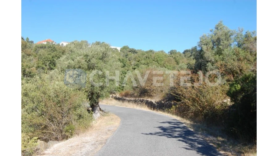 Terreno para Venda em Além da Ribeira e Pedreira
