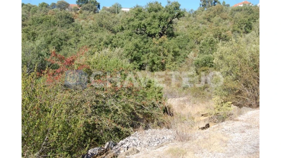 Terreno para Venda em Além da Ribeira e Pedreira Foto 2