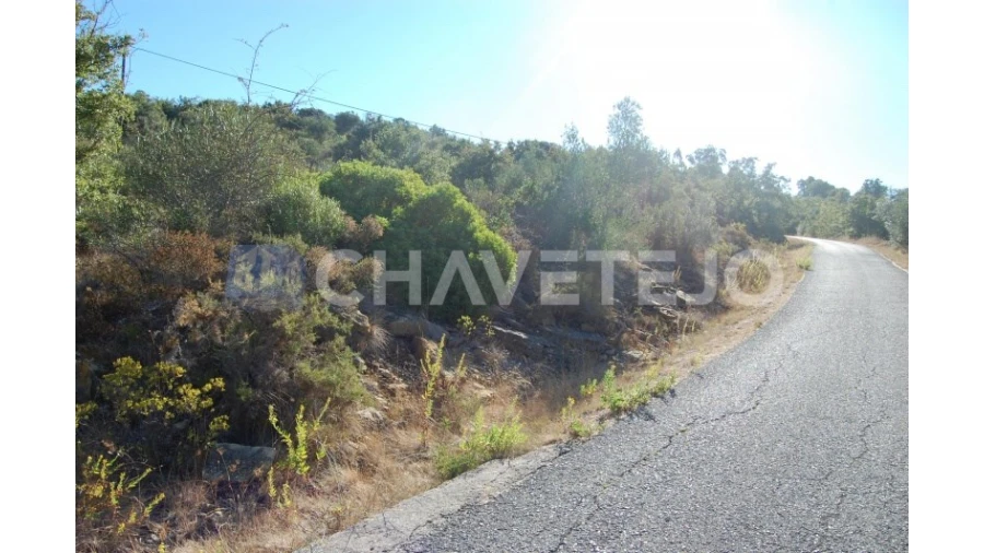 Terreno para Venda em Além da Ribeira e Pedreira Foto 3