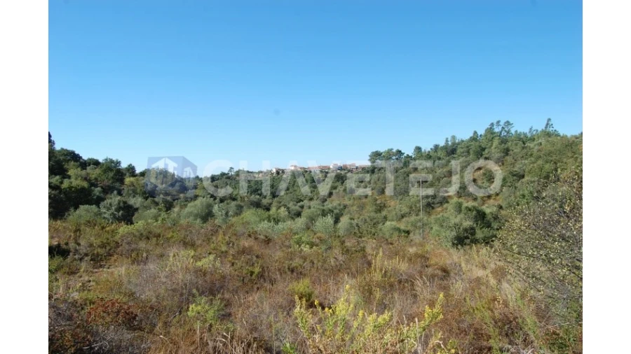 Terreno para Venda em Além da Ribeira e Pedreira Foto 4
