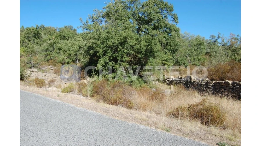 Terreno para Venda em Além da Ribeira e Pedreira Foto 5