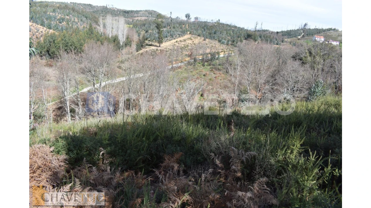 Terreno Agricola ou Rústico para Venda em Graça Foto 1