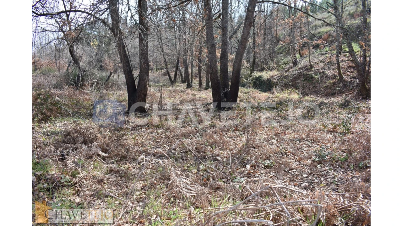 Terreno Agricola ou Rústico para Venda em Graça Foto 4