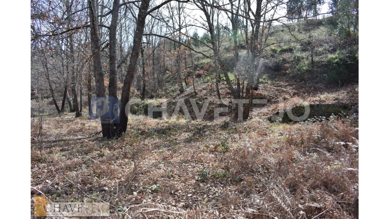 Terreno Agricola ou Rústico para Venda em Graça Foto 5