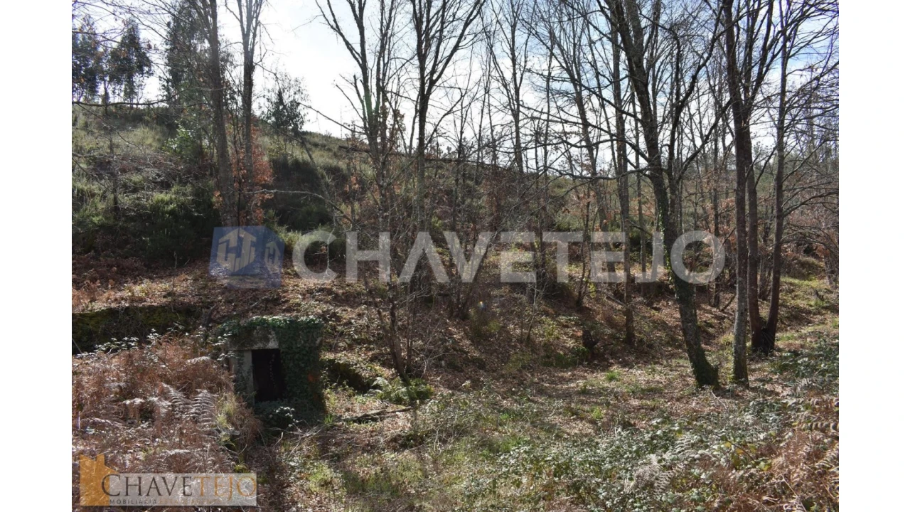 Terreno Agricola ou Rústico para Venda em Graça Foto 6