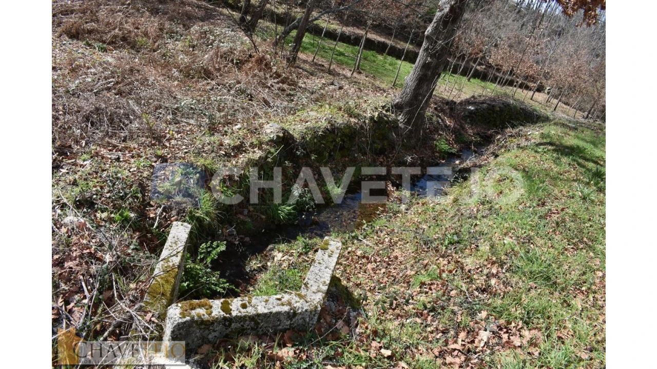 Terreno Agricola ou Rústico para Venda em Graça Foto 7