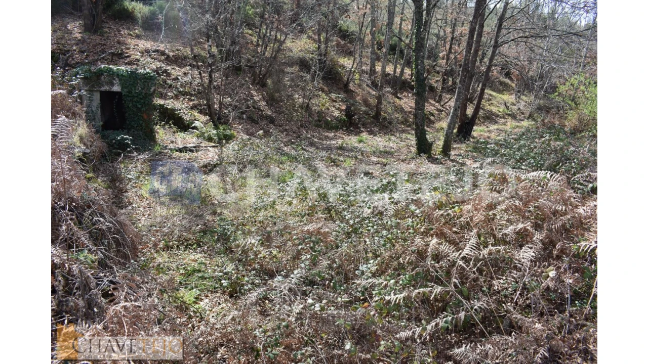 Terreno Agricola ou Rústico para Venda em Graça Foto 8