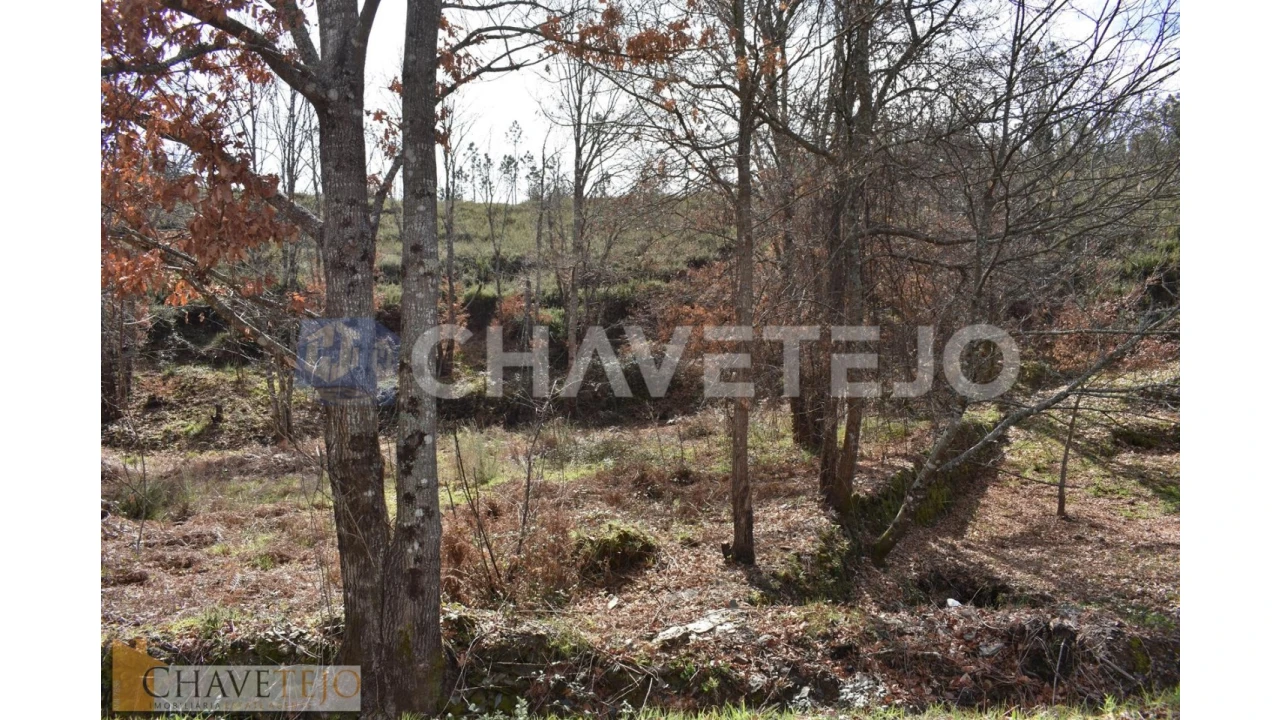 Terreno Agricola ou Rústico para Venda em Graça Foto 10