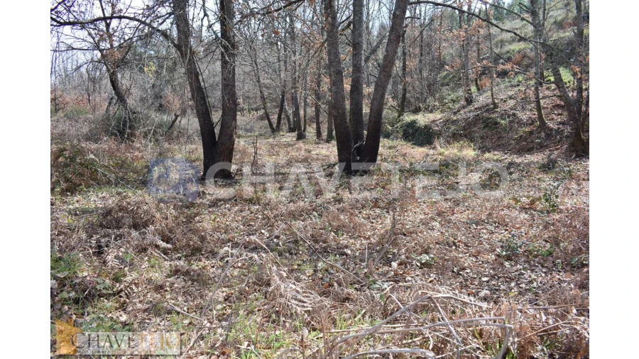 Terreno Agricola ou Rústico para Venda em Graça Foto 4
