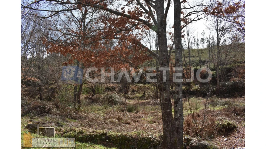 Terreno Agricola ou Rústico para Venda em Graça Foto 9
