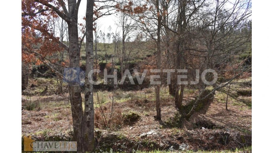 Terreno Agricola ou Rústico para Venda em Graça Foto 10
