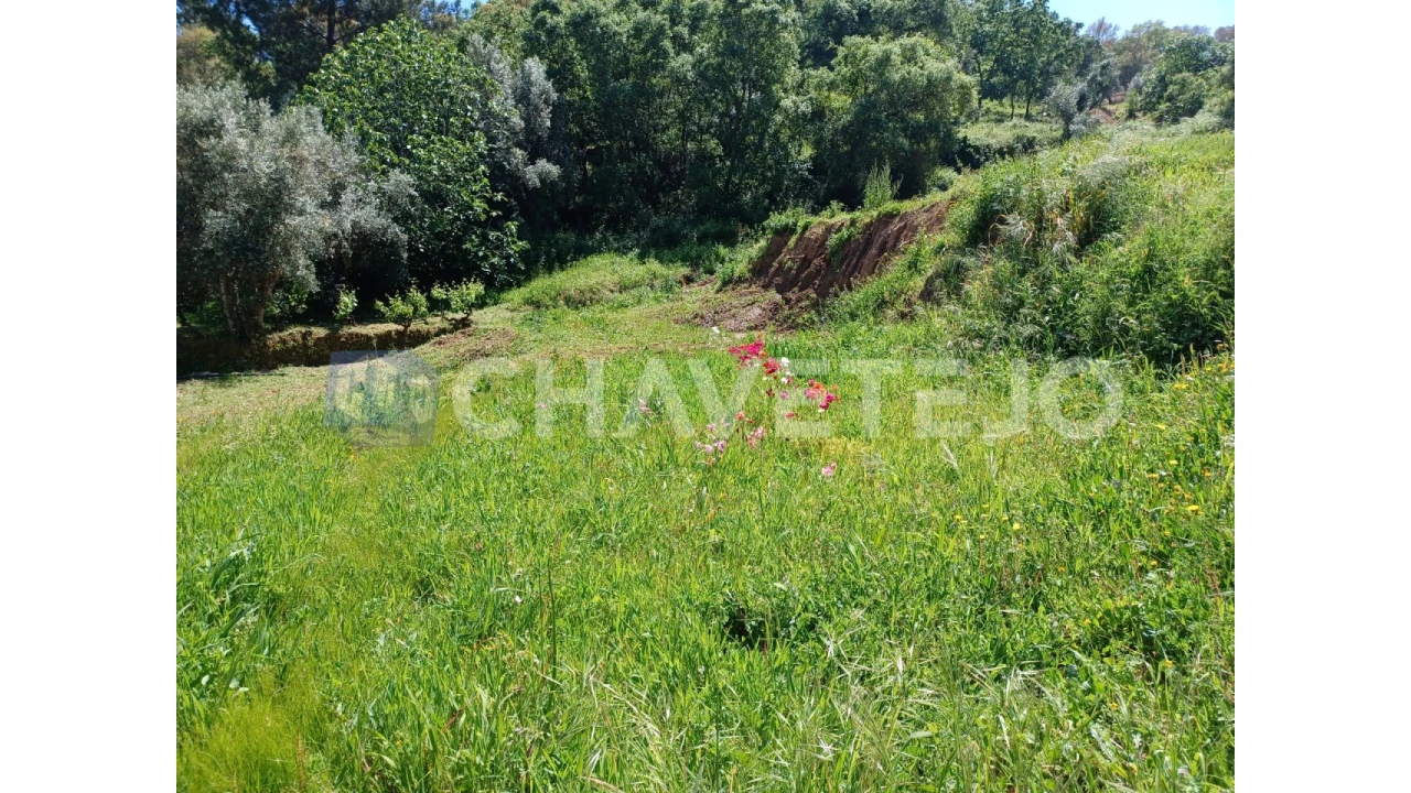 Terreno Agricola ou Rústico para Venda em Serra e Junceira Foto 2