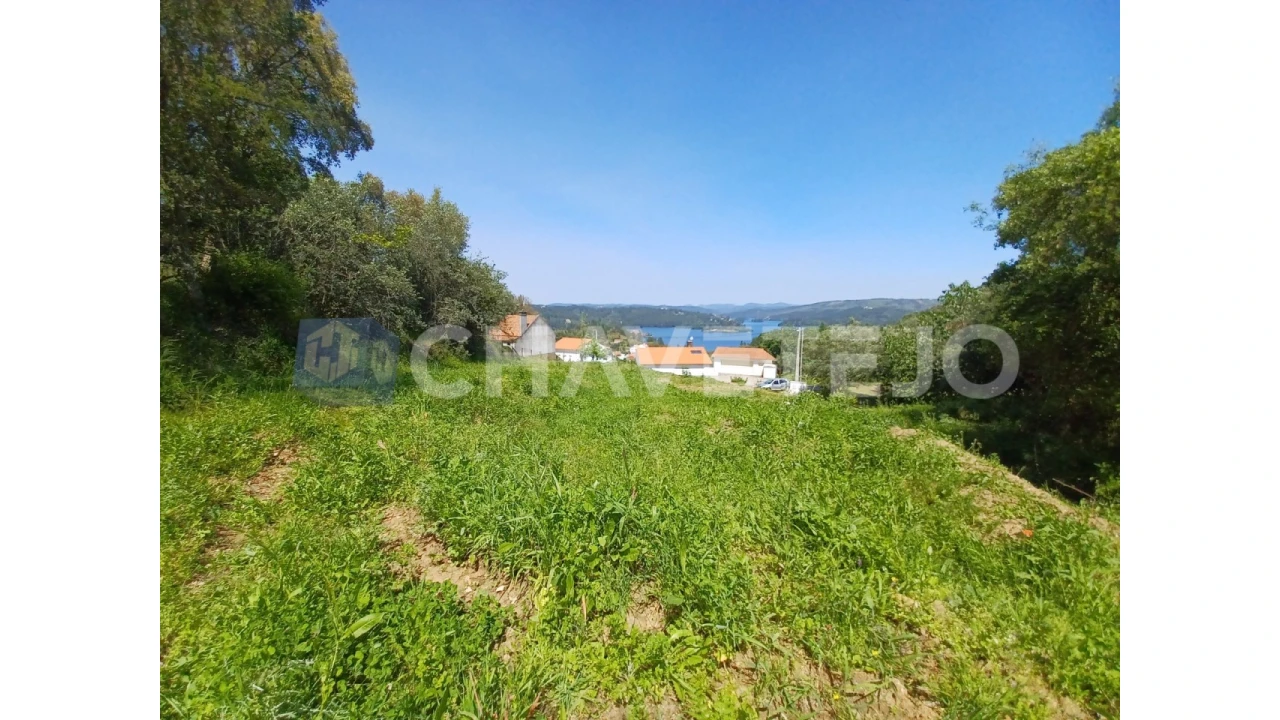 Terreno Agricola ou Rústico para Venda em Serra e Junceira Foto 1