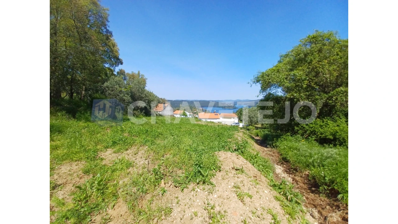 Terreno Agricola ou Rústico para Venda em Serra e Junceira Foto 4