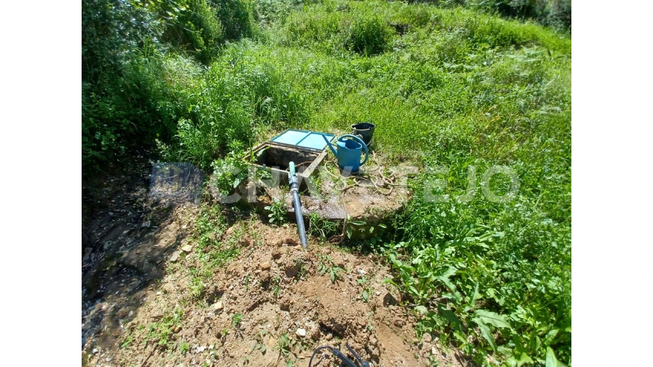 Terreno Agricola ou Rústico para Venda em Serra e Junceira Foto 5