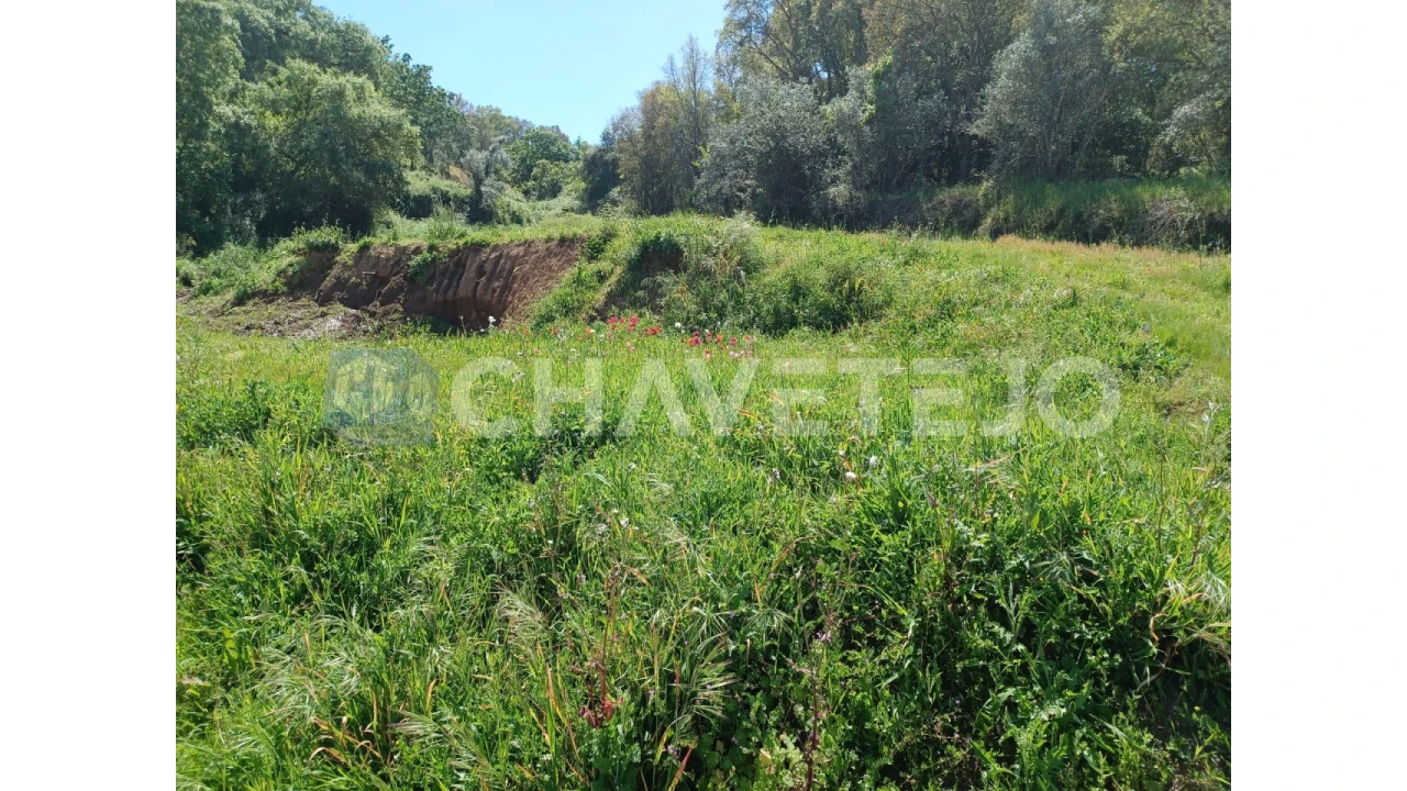 Terreno Agricola ou Rústico para Venda em Serra e Junceira Foto 9